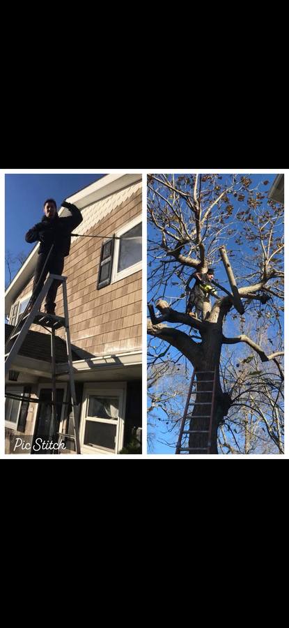 Power washing and tree removal project